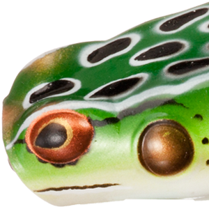 Leopard Frog