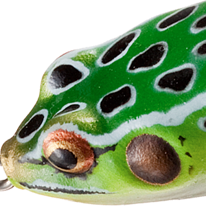Leopard Frog