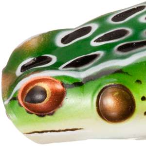 Leopard Frog
