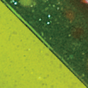 Licorice-Chartreuse Pearl