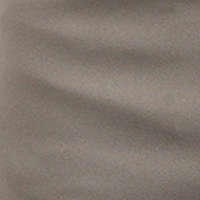 Light Khaki