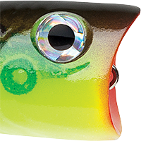 Lime Frog