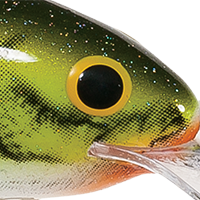 Lime Perch