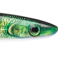 Live Perch