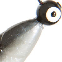 Magic Shad