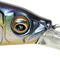 Megabass Sexy Shad