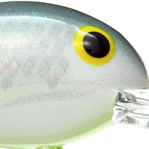 Metalflake Shad