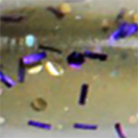 Minnow Magic