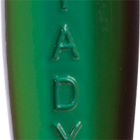 Minty Egg