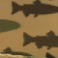 Moab