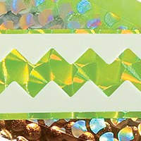 Modified Carmel Dolphin