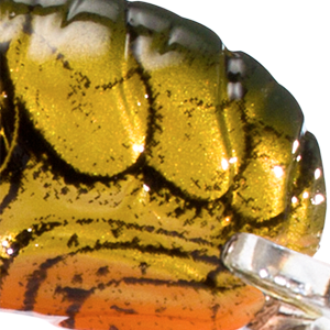 Moss Craw