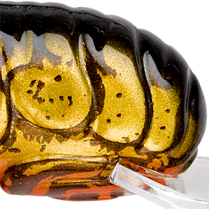 Moss Crawfish
