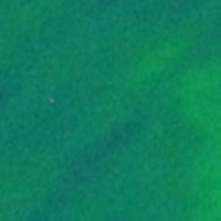 Motor Oil/Chartruese Black