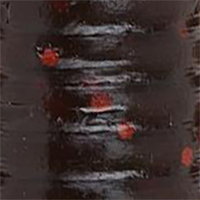 Motor Oil Red Flake
