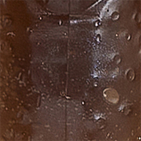 Mud Bug