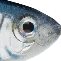 Mullet