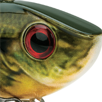 Natural Bream