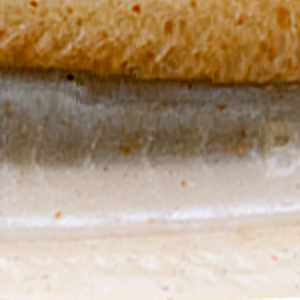 Natural Eel