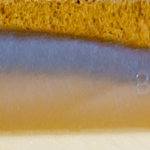 Natural Eel