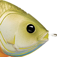 Natural/Green Bluegill