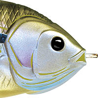 Natural/Olive Bluegill