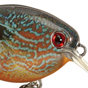 Natural Pumpkinseed