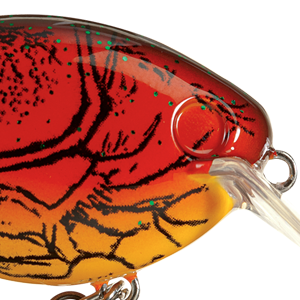 Natural Red Craw
