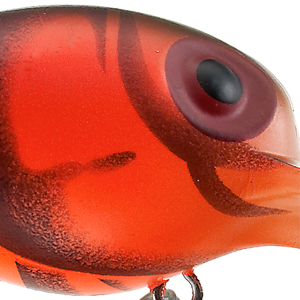 Natural Red Crayfish