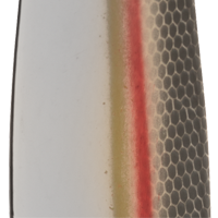 Natural Shad