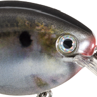 Natural Shad