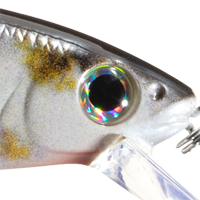 Natural Shad