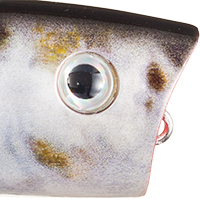 Natural Shad