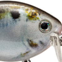Natural Shad
