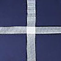 Navy/White