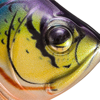 Neon Bluegill