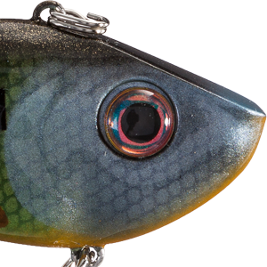 Neon Bluegill