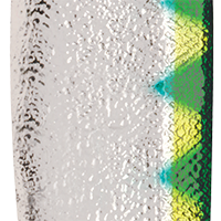 Nickel/Neon Green Back