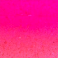 Neon Prism