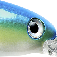 Neon Shad