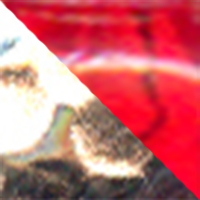 Hammered Nickel/Flo Ruby