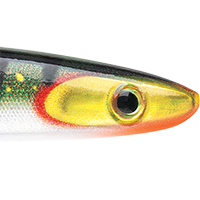 Nordic Perch