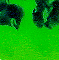 Nuclear