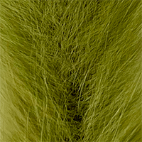 Olive Brown