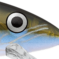 Olive Ghost