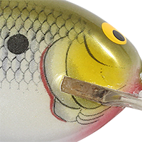 Olive Shad
