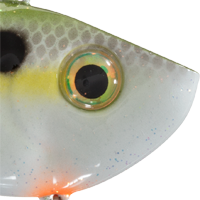Olive Shad