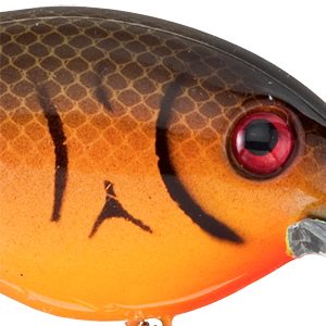 Orange Belly Craw
