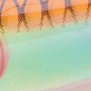 Luminous Orange