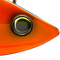 Orange Black